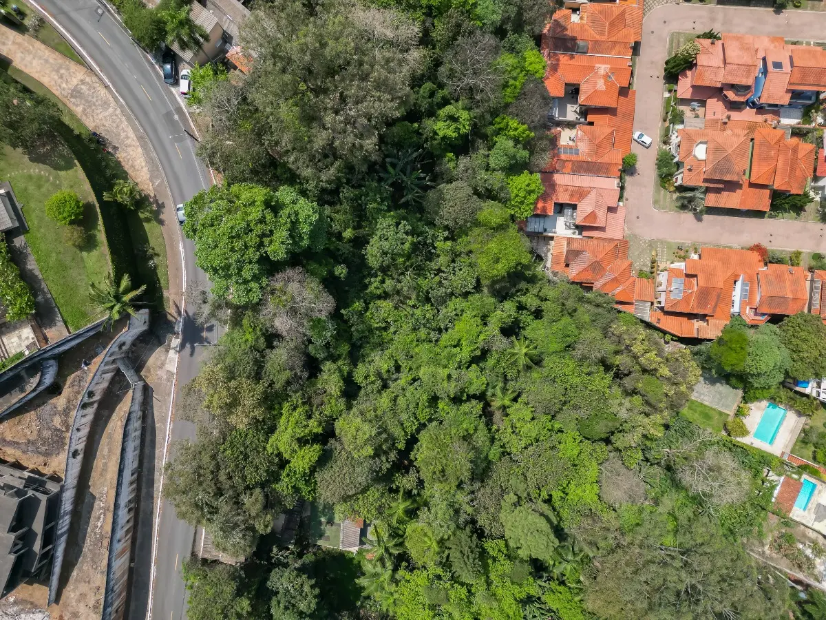 dji_023403.jpeg