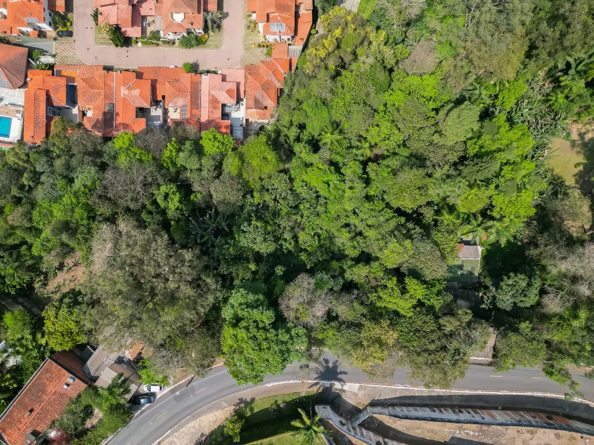 dji_023302.jpeg